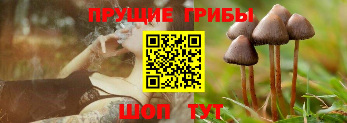 Галлюциногенные грибы MAGIC MUSHROOMS  Вход с VPN  Вологда  Галлюциногенные грибы MAGIC MUSHROOMS 